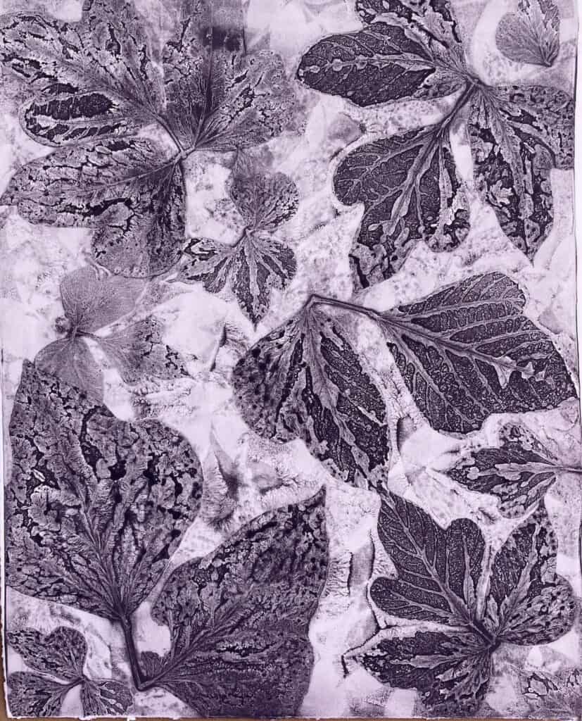 Image related to Art in the Park: Botanical Gelli Prints
