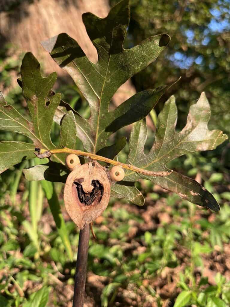 Image related to Art in the Park: Found Object Puppets