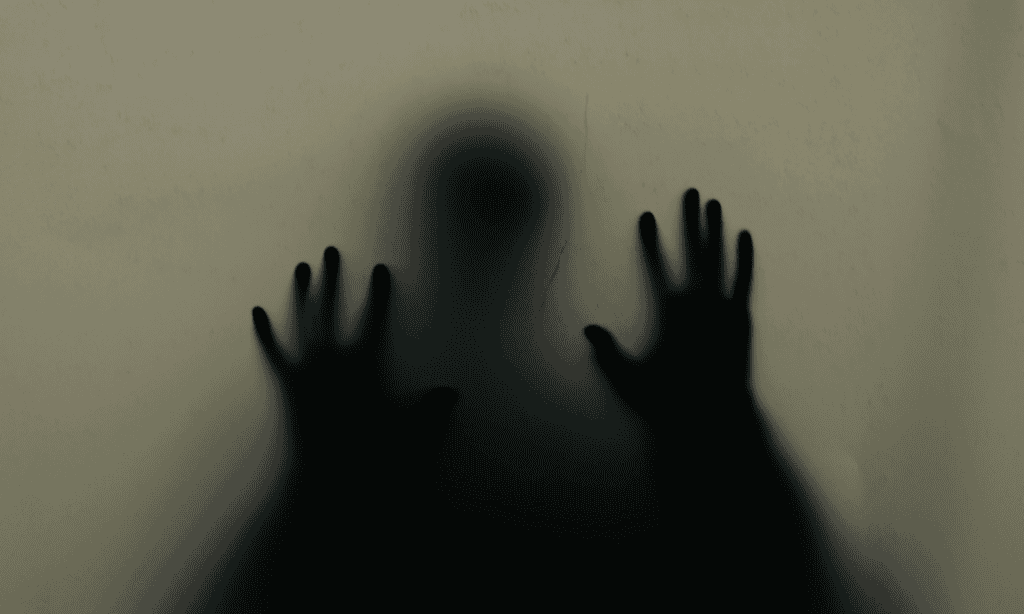 Image related to Paranormal Night